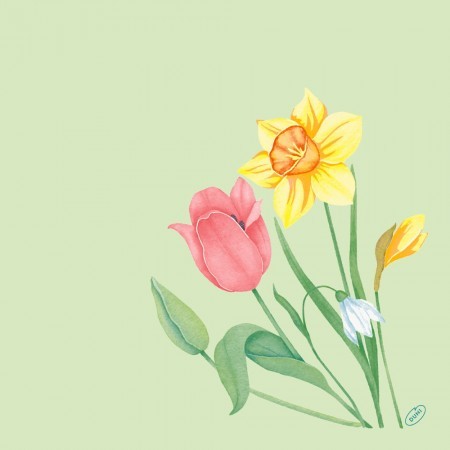 Bio Dunisoft® Napkin 40 x 40cm, Spring Melody