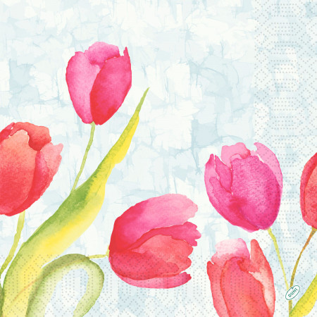 Painted Tulips Napkin, 3ply 40cm
