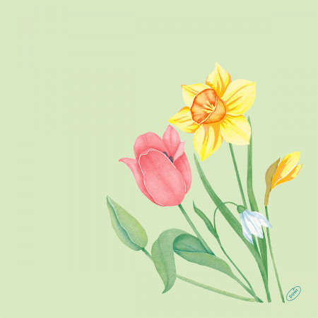 Dunisoft&reg; Napkin Spring Melody 40cm