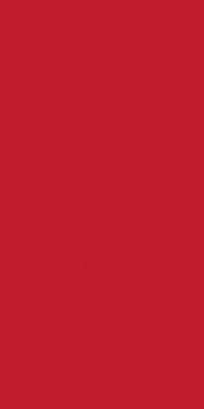 Lunch Tissue Napkin, 2ply 32cm Red, 8-Fold