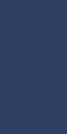Lunch Tissue Napkin, 2ply 32cm Navy Blue, 8-Fold