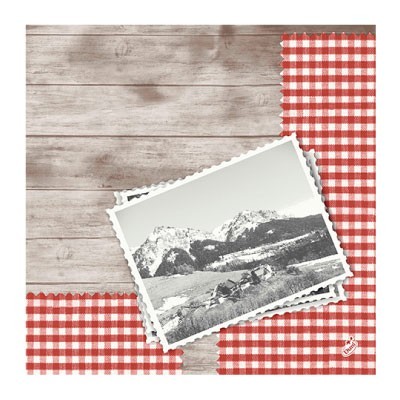 Dunilin 2019 Napkins, 40cm, Mountain