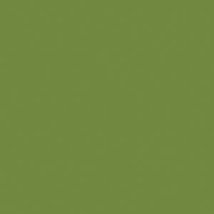 Duni 3ply 33cm Tissue Napkins Leaf Green